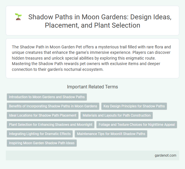Shadow Paths in Moon Gardens: Design Ideas, Placement, and Plant Selection