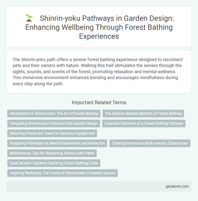 Shinrin-yoku Pathways in Garden Design: Enhancing Wellbeing Through Forest Bathing Experiences