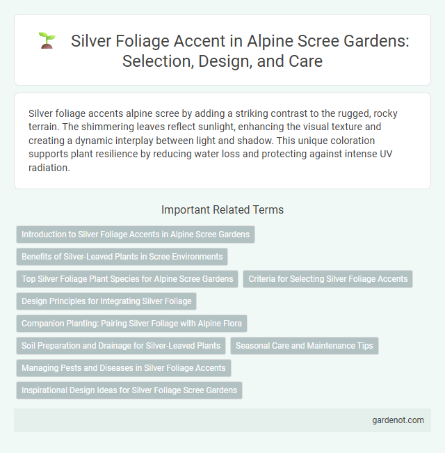 Silver Foliage Accent in Alpine Scree Gardens: Selection, Design, and Care