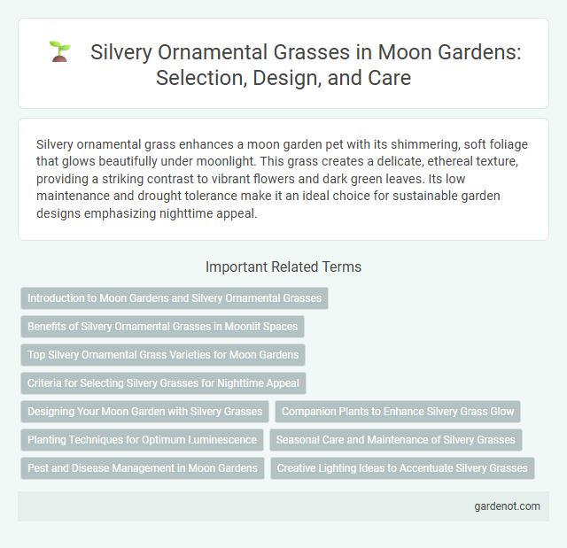 Silvery Ornamental Grasses in Moon Gardens: Selection, Design, and Care