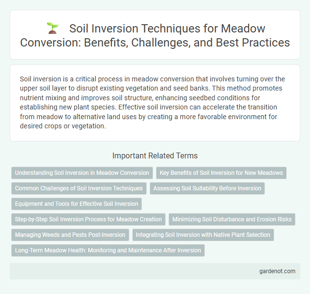 Soil Inversion Techniques for Meadow Conversion: Benefits, Challenges, and Best Practices
