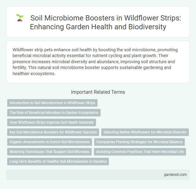 Soil Microbiome Boosters in Wildflower Strips: Enhancing Garden Health and Biodiversity