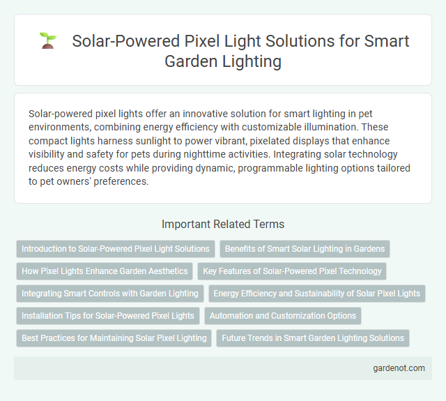 Solar-Powered Pixel Light Solutions for Smart Garden Lighting
