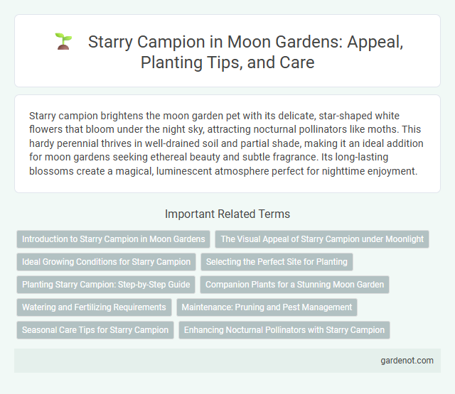 Starry Campion in Moon Gardens: Appeal, Planting Tips, and Care