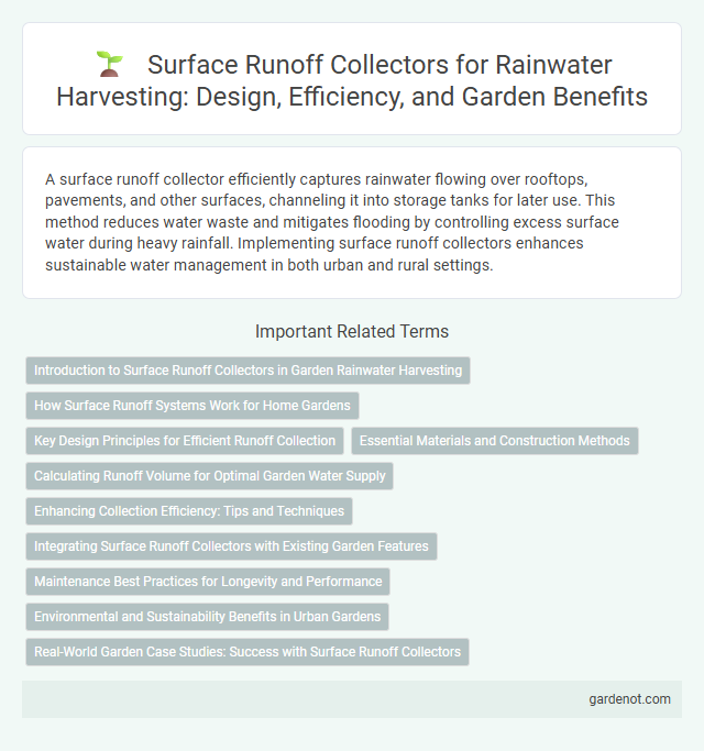 Surface Runoff Collectors for Rainwater Harvesting: Design, Efficiency, and Garden Benefits