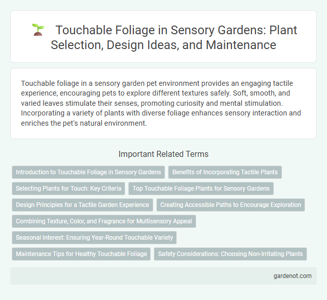 Touchable Foliage in Sensory Gardens: Plant Selection, Design Ideas, and Maintenance