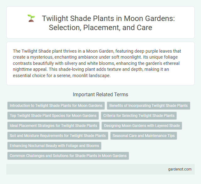 Twilight Shade Plants in Moon Gardens: Selection, Placement, and Care