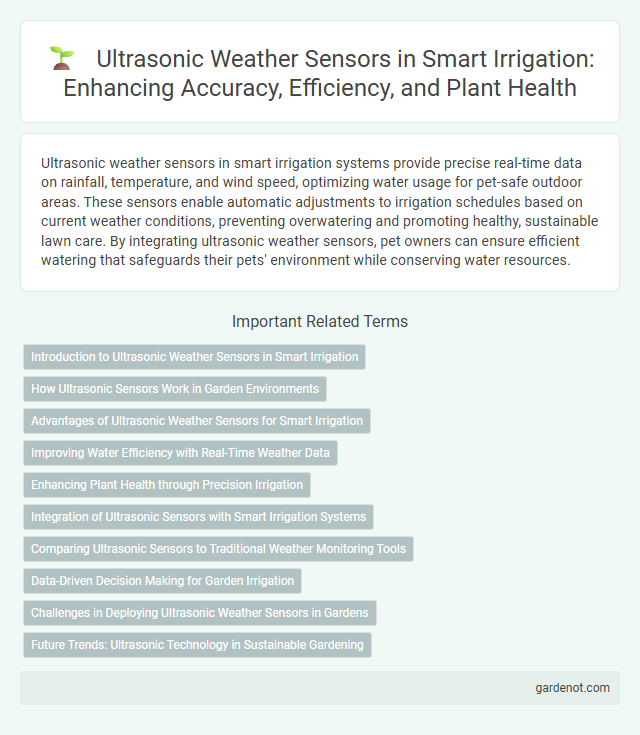Ultrasonic Weather Sensors in Smart Irrigation: Enhancing Accuracy, Efficiency, and Plant Health