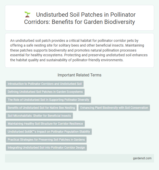 Undisturbed Soil Patches in Pollinator Corridors: Benefits for Garden Biodiversity