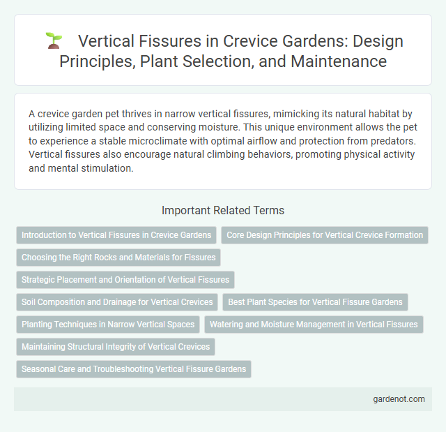 Vertical Fissures in Crevice Gardens: Design Principles, Plant Selection, and Maintenance