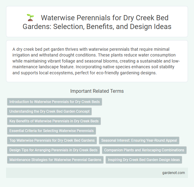 Waterwise Perennials for Dry Creek Bed Gardens: Selection, Benefits, and Design Ideas