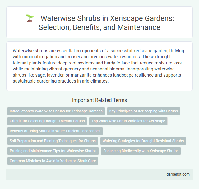 Waterwise Shrubs in Xeriscape Gardens: Selection, Benefits, and Maintenance