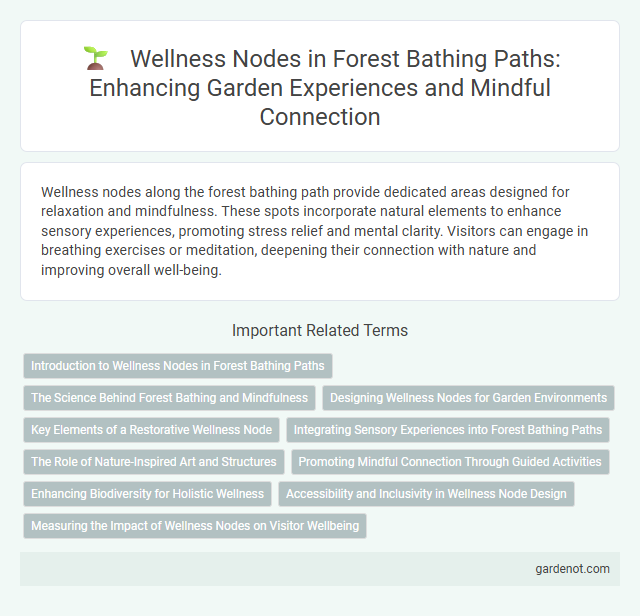 Wellness Nodes in Forest Bathing Paths: Enhancing Garden Experiences and Mindful Connection
