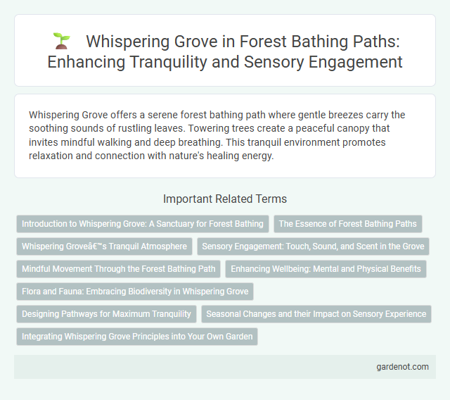 Whispering Grove in Forest Bathing Paths: Enhancing Tranquility and Sensory Engagement