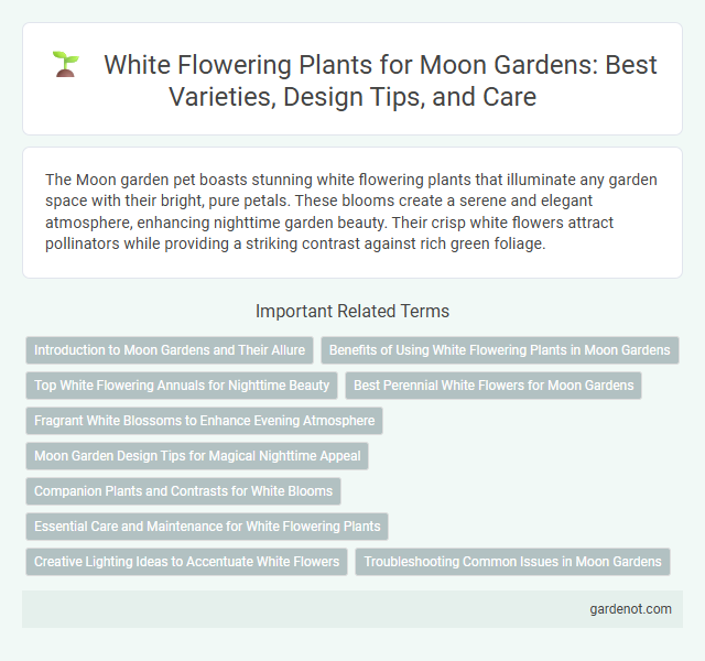 White Flowering Plants for Moon Gardens: Best Varieties, Design Tips, and Care