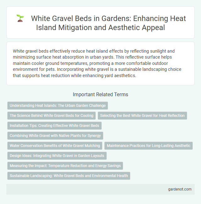 White Gravel Beds in Gardens: Enhancing Heat Island Mitigation and Aesthetic Appeal