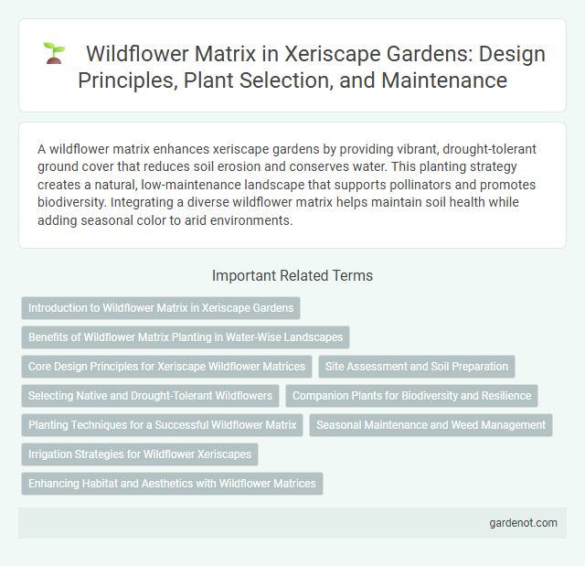 Wildflower Matrix in Xeriscape Gardens: Design Principles, Plant Selection, and Maintenance