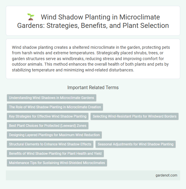 Wind Shadow Planting in Microclimate Gardens: Strategies, Benefits, and Plant Selection