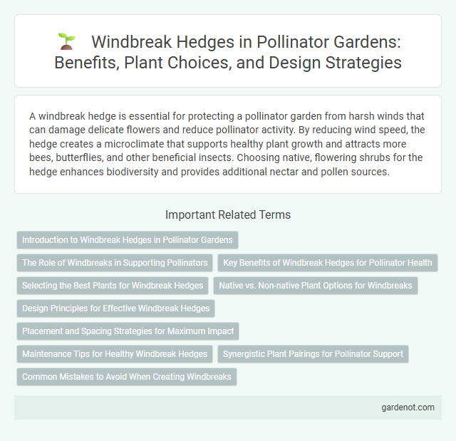 Windbreak Hedges in Pollinator Gardens: Benefits, Plant Choices, and Design Strategies