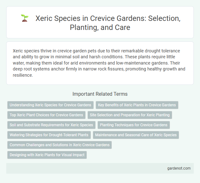 Xeric Species in Crevice Gardens: Selection, Planting, and Care