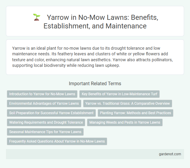 Yarrow in No-Mow Lawns: Benefits, Establishment, and Maintenance