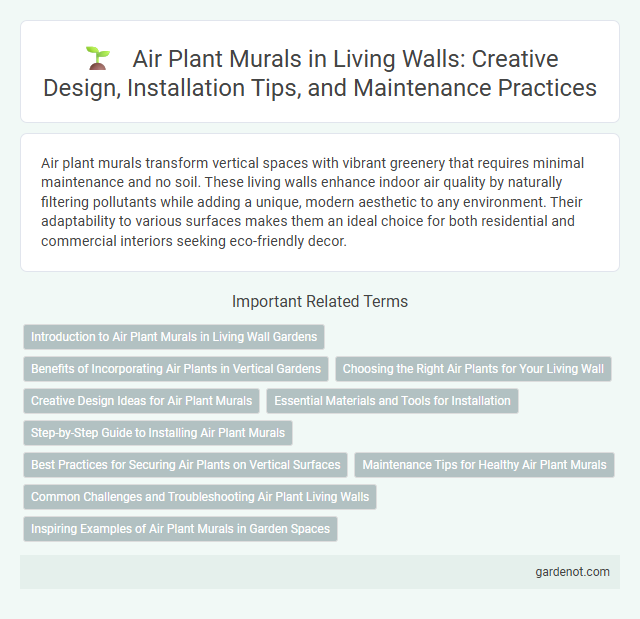 Air Plant Murals in Living Walls: Creative Design, Installation Tips, and Maintenance Practices