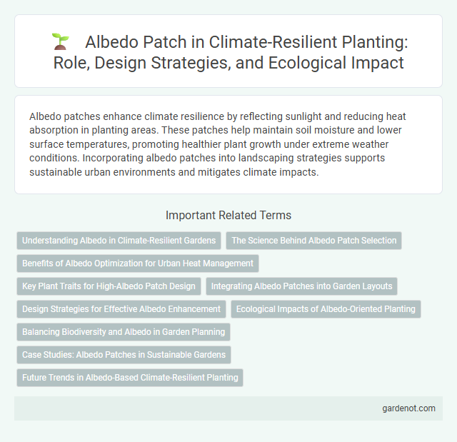 Albedo Patch in Climate-Resilient Planting: Role, Design Strategies, and Ecological Impact