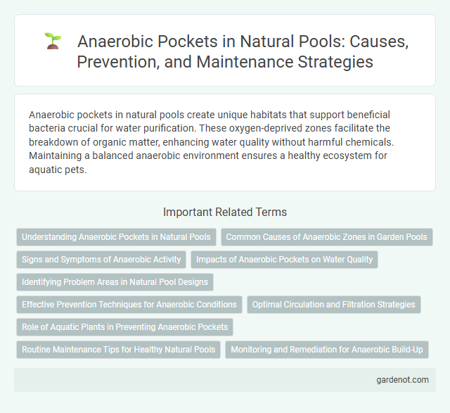 Anaerobic Pockets in Natural Pools: Causes, Prevention, and Maintenance Strategies