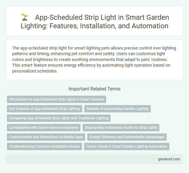 App-Scheduled Strip Light in Smart Garden Lighting: Features, Installation, and Automation