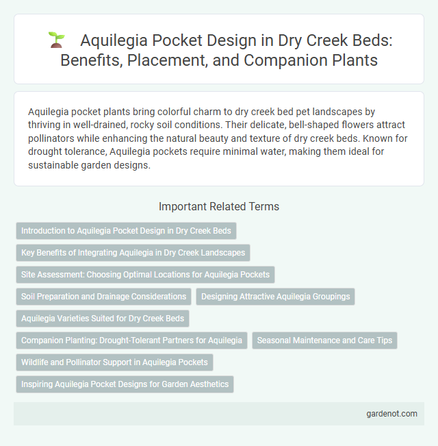 Aquilegia Pocket Design in Dry Creek Beds: Benefits, Placement, and Companion Plants