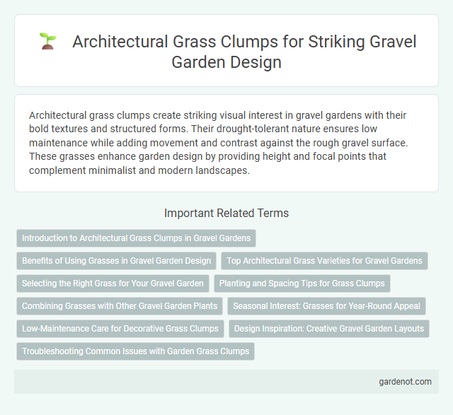 Architectural Grass Clumps for Striking Gravel Garden Design