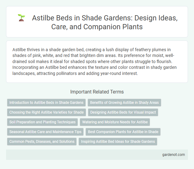 Astilbe Beds in Shade Gardens: Design Ideas, Care, and Companion Plants