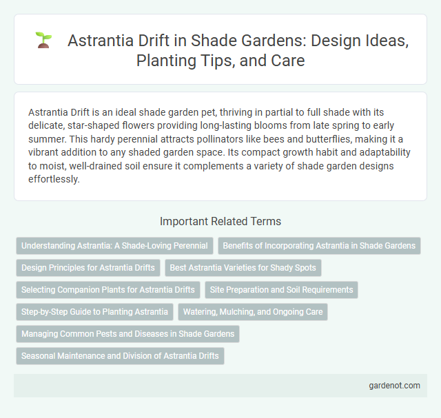 Astrantia Drift in Shade Gardens: Design Ideas, Planting Tips, and Care