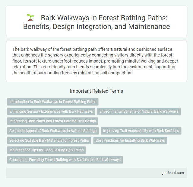 Bark Walkways in Forest Bathing Paths: Benefits, Design Integration, and Maintenance