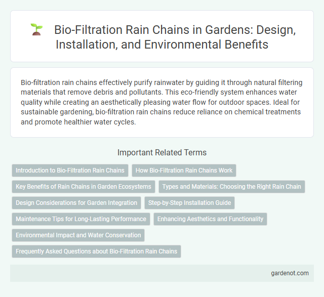 Bio-Filtration Rain Chains in Gardens: Design, Installation, and Environmental Benefits