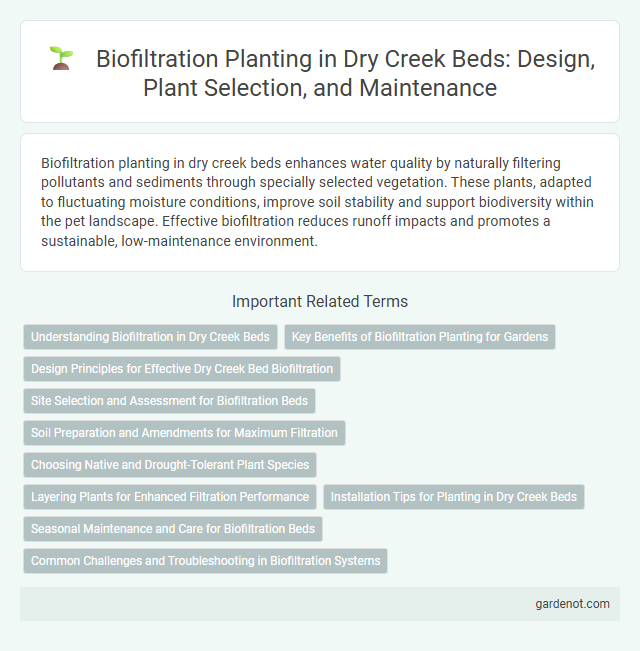 Biofiltration Planting in Dry Creek Beds: Design, Plant Selection, and Maintenance