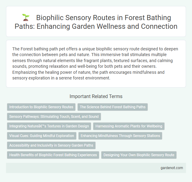 Biophilic Sensory Routes in Forest Bathing Paths: Enhancing Garden Wellness and Connection