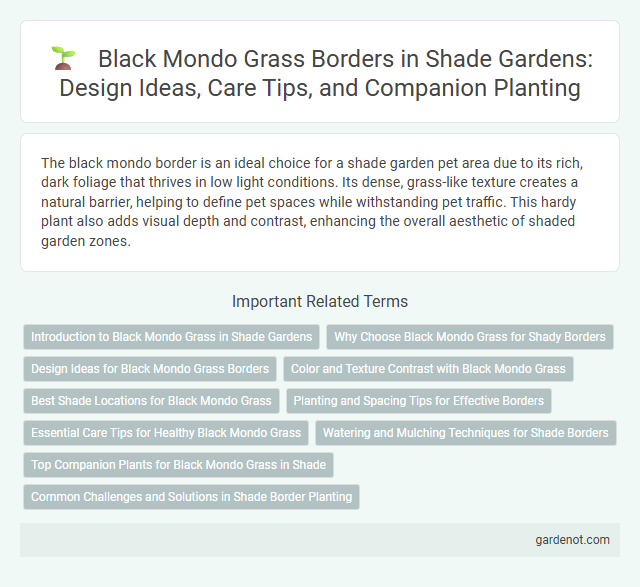 Black Mondo Grass Borders in Shade Gardens: Design Ideas, Care Tips, and Companion Planting
