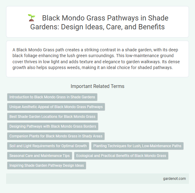 Black Mondo Grass Pathways in Shade Gardens: Design Ideas, Care, and Benefits