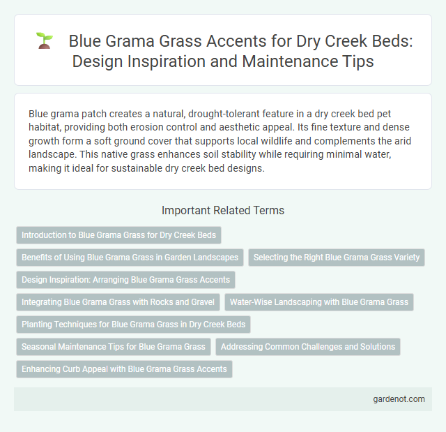 Blue Grama Grass Accents for Dry Creek Beds: Design Inspiration and Maintenance Tips