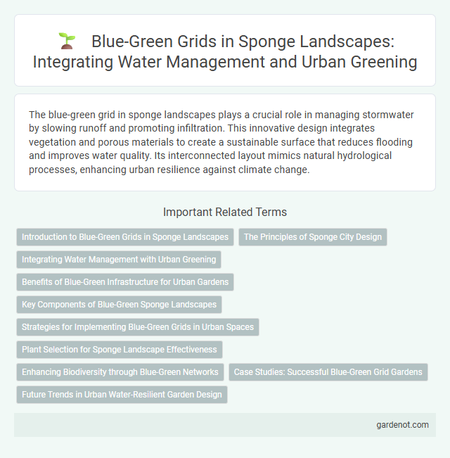 Blue-Green Grids in Sponge Landscapes: Integrating Water Management and Urban Greening
