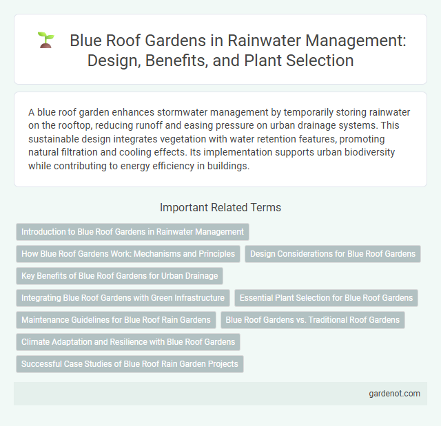 Blue Roof Gardens in Rainwater Management: Design, Benefits, and Plant Selection