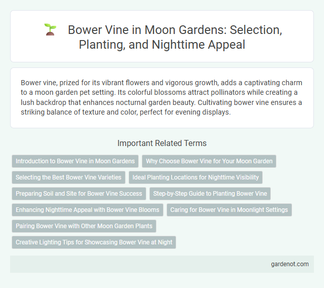 Bower Vine in Moon Gardens: Selection, Planting, and Nighttime Appeal
