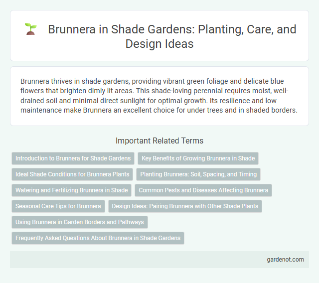 Brunnera in Shade Gardens: Planting, Care, and Design Ideas
