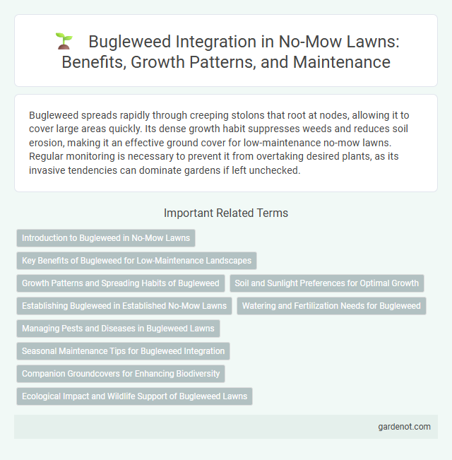 Bugleweed Integration in No-Mow Lawns: Benefits, Growth Patterns, and Maintenance
