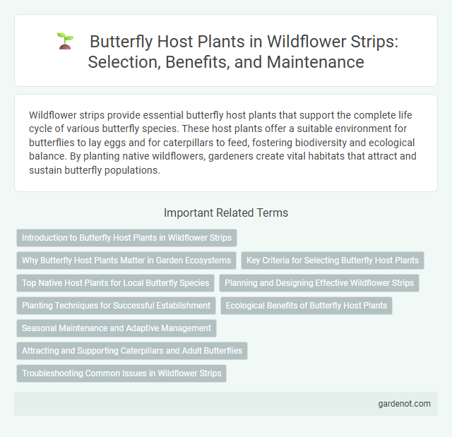 Butterfly Host Plants in Wildflower Strips: Selection, Benefits, and Maintenance