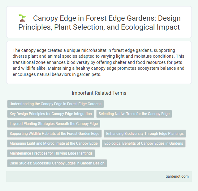 Canopy Edge in Forest Edge Gardens: Design Principles, Plant Selection, and Ecological Impact