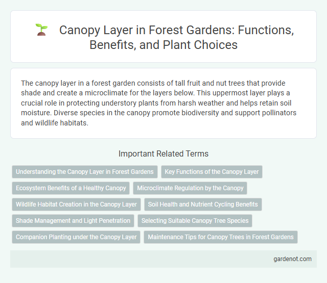 Canopy Layer in Forest Gardens: Functions, Benefits, and Plant Choices
