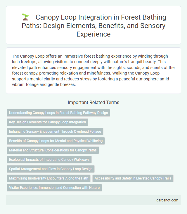 Canopy Loop Integration in Forest Bathing Paths: Design Elements, Benefits, and Sensory Experience