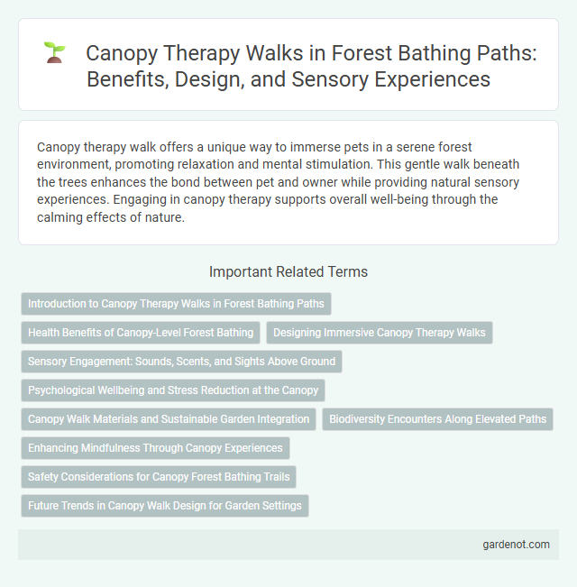 Canopy Therapy Walks in Forest Bathing Paths: Benefits, Design, and Sensory Experiences
